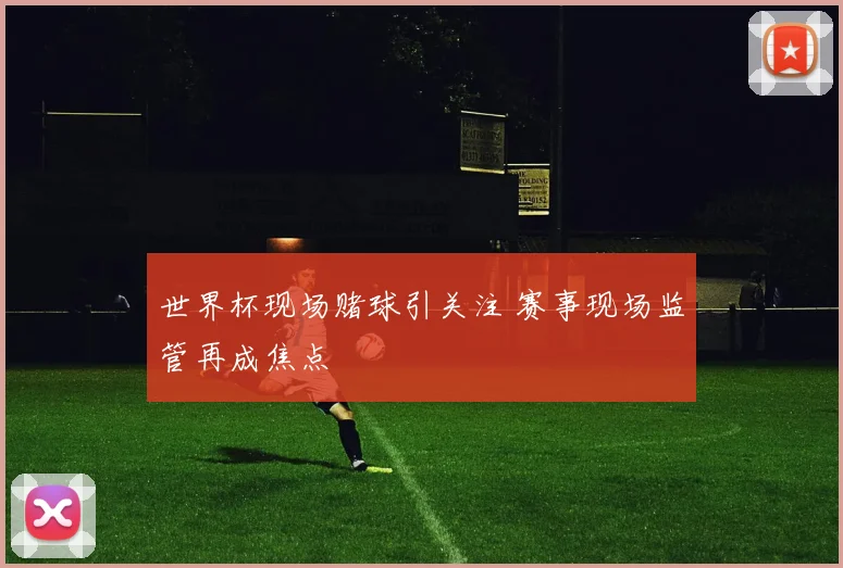 世界杯现场赌球引关注 赛事现场监管再成焦点