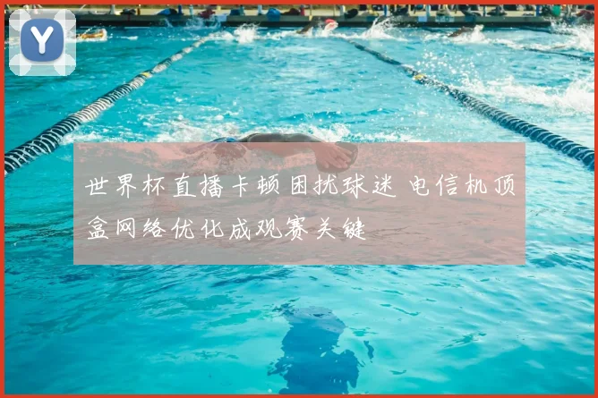 世界杯直播卡顿困扰球迷 电信机顶盒网络优化成观赛关键