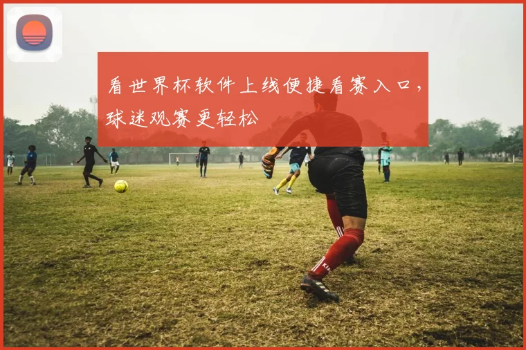 看世界杯软件上线便捷看赛入口，球迷观赛更轻松